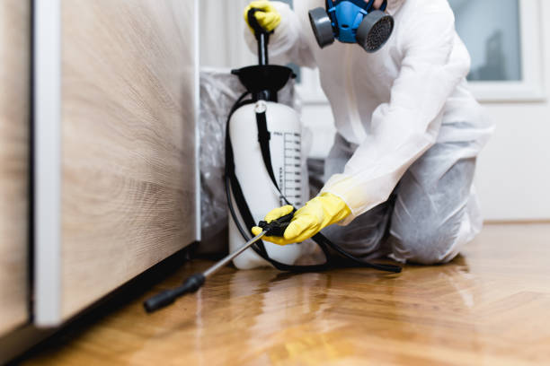 Best Commercial Pest Control Services  in Bethlehem Village, CT