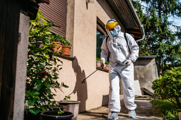 Best Cockroach Control Services  in Bethlehem Village, CT