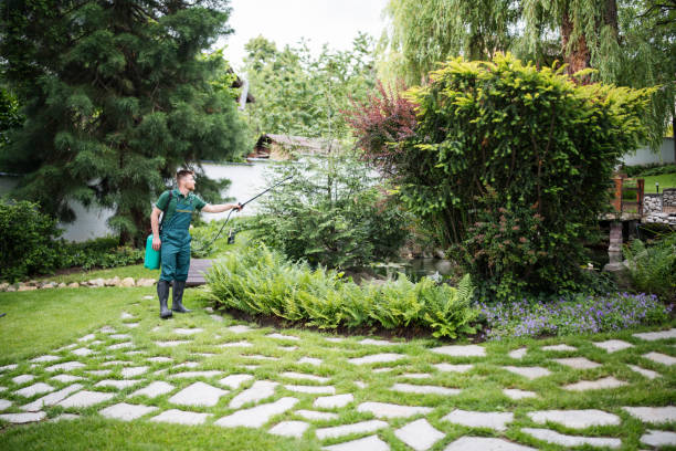 Best Pest Prevention Services  in Bethlehem Village, CT