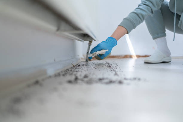 Best Wildlife Control Services  in Bethlehem Village, CT